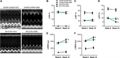 Attenuation of Circulating Trimethylamine N-Oxide Prevents the Progression of Cardiac and Renal Dysfunction in a Rat Model of Chronic Cardiorenal Syndrome